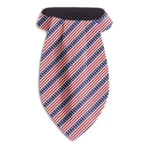 All American - Ascots