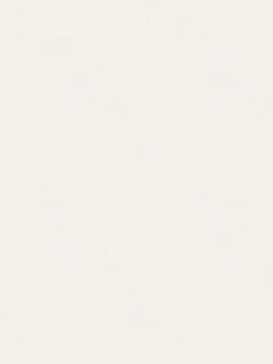 Athena taffeta - Oyster
