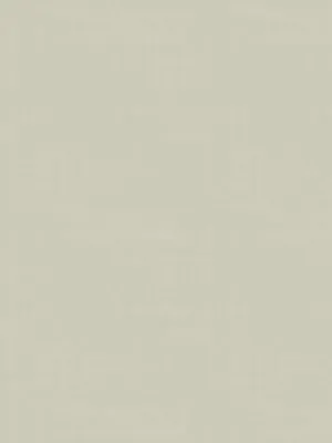 Athena taffeta - Platinum