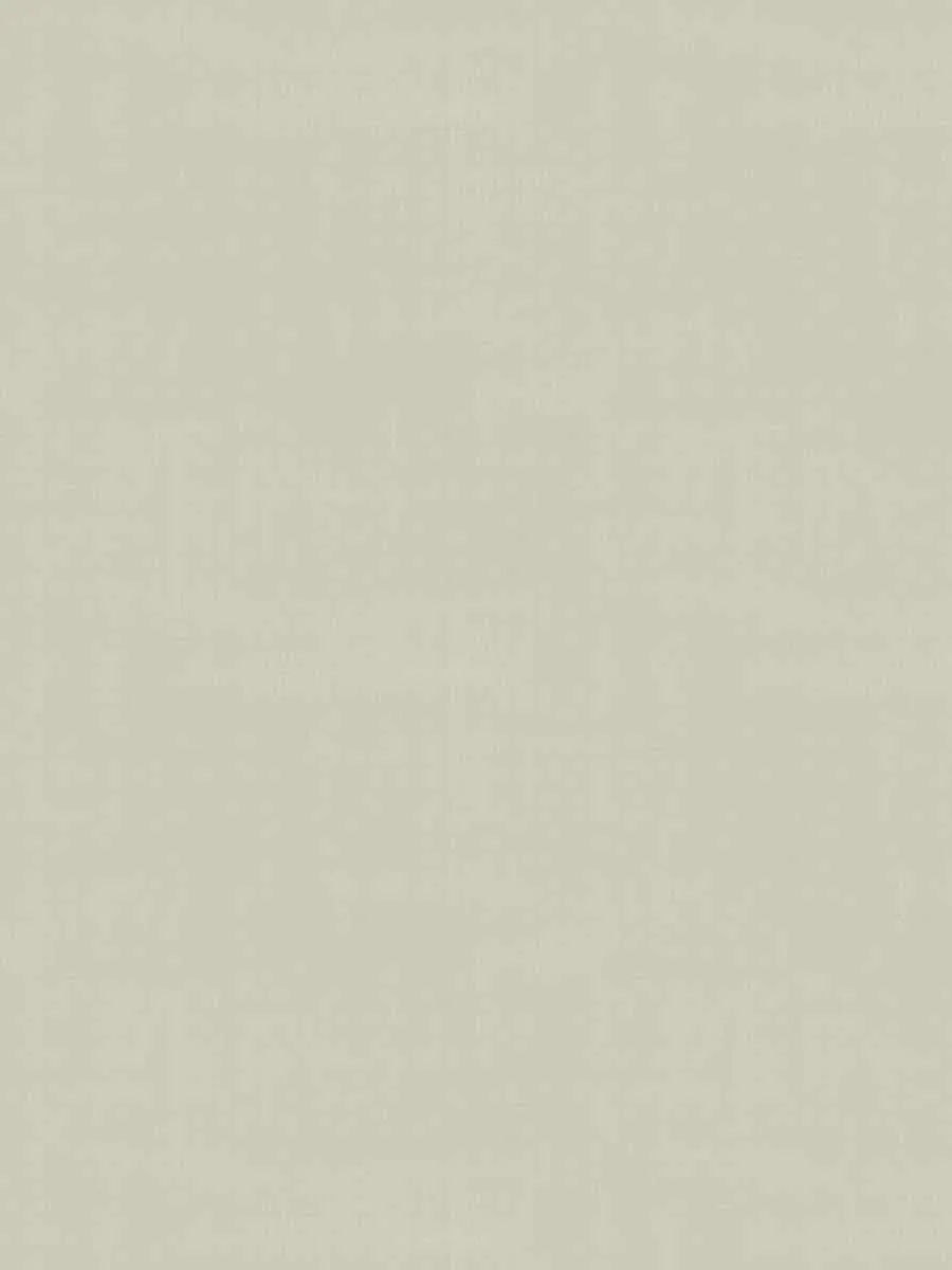 Athena taffeta - Platinum