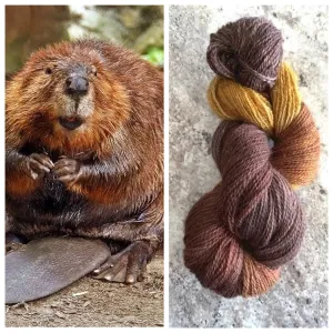 Bella BFL/Gotland Fingering The Beavers