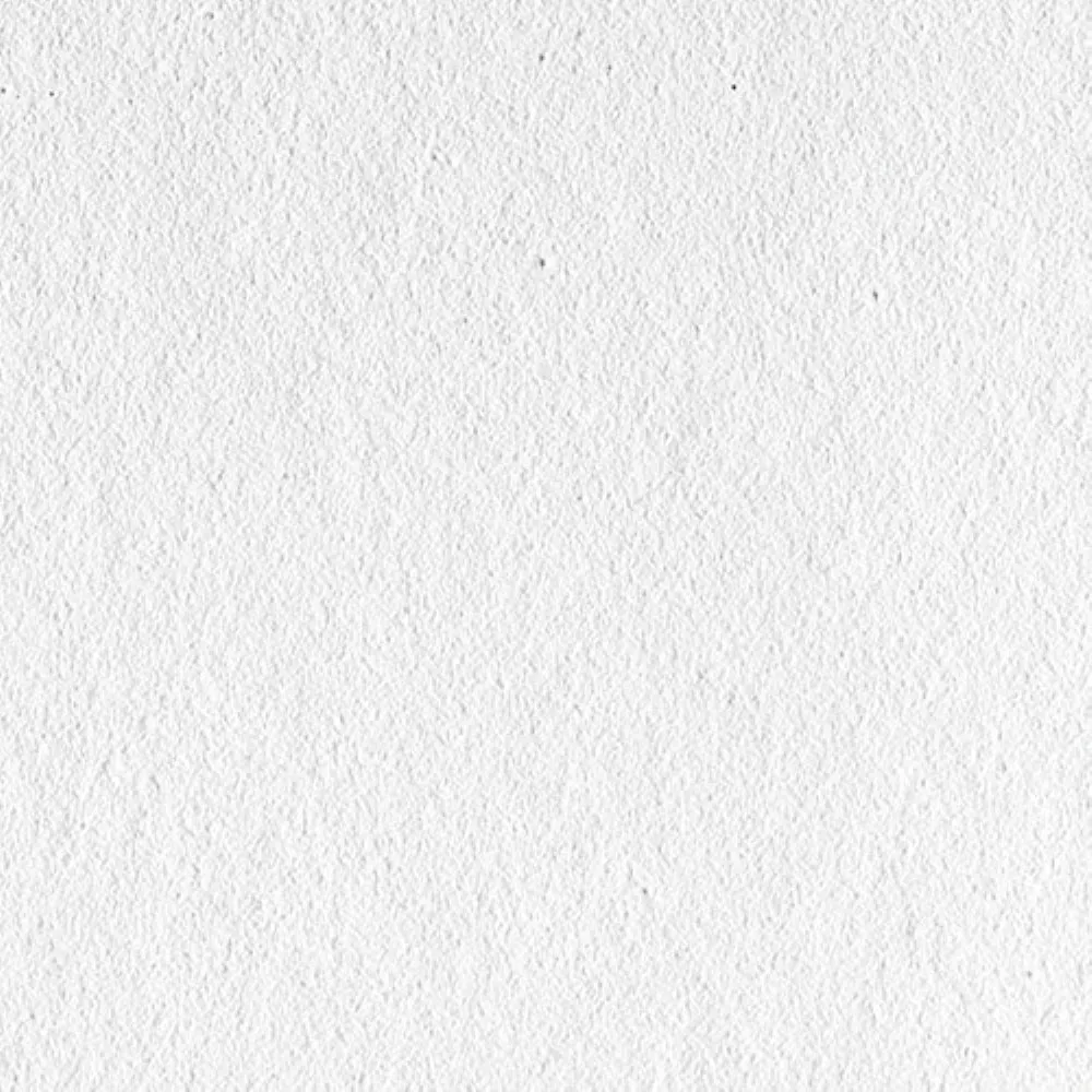 Canson Infinity Edition Etching Rag 310 gsm Archival Inkjet Paper | 60" x 50' Roll