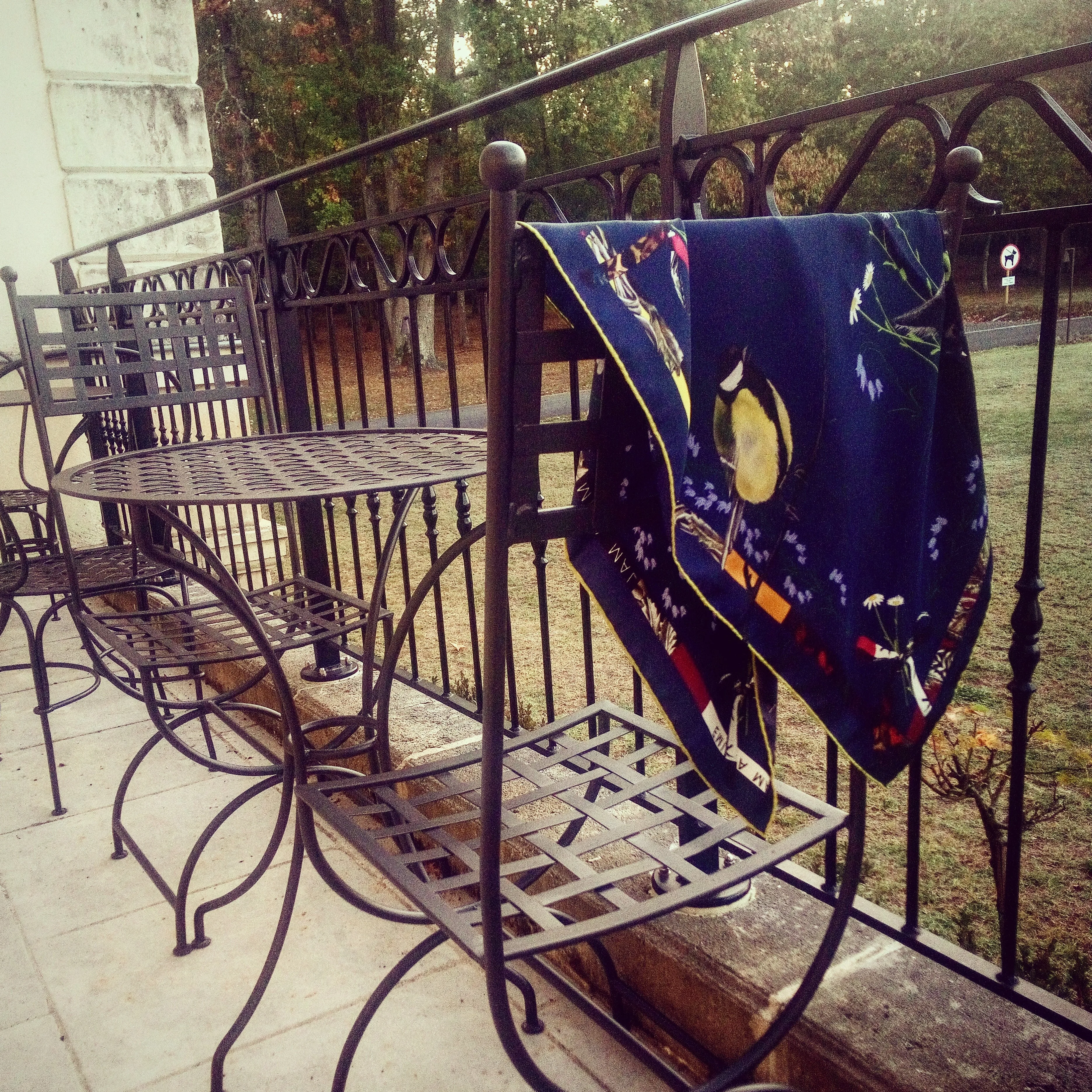 CAT SAUVAGE / MIDNIGHT Blue Silk Print Scarf