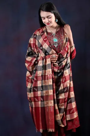 Check Sozni Embroidered Handwooven Pashmina shawl