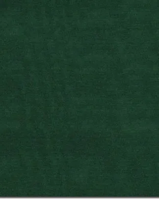 CLSCRFSOLID--Forest Scarf 100% Silk Solid