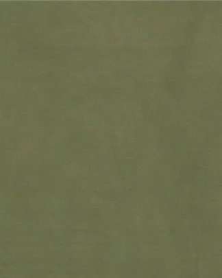 CLSCRFSOLID--Sage Scarf 100% Silk Solid