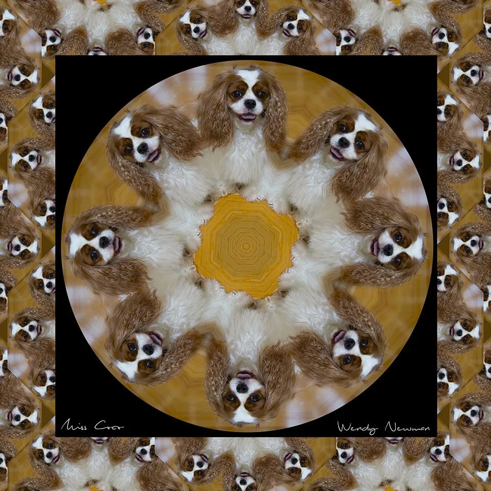 Custom Scarf - Custom Designs