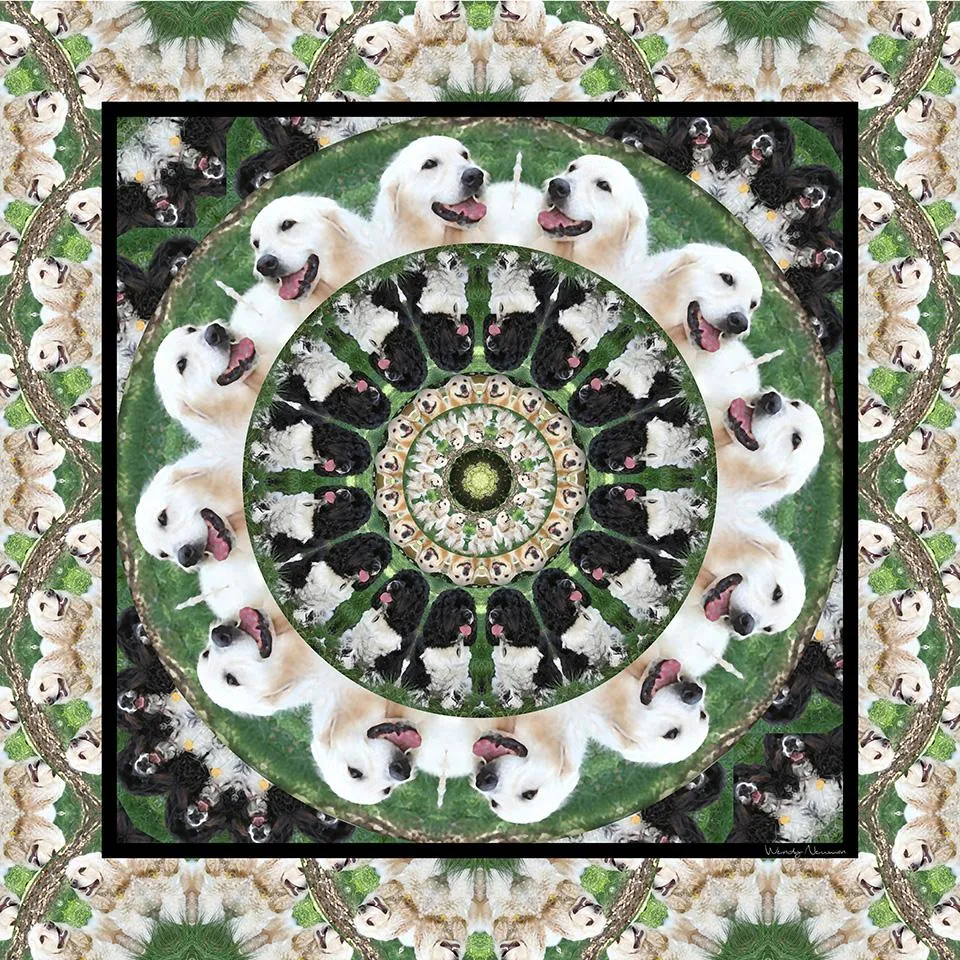 Custom Scarf - Custom Designs