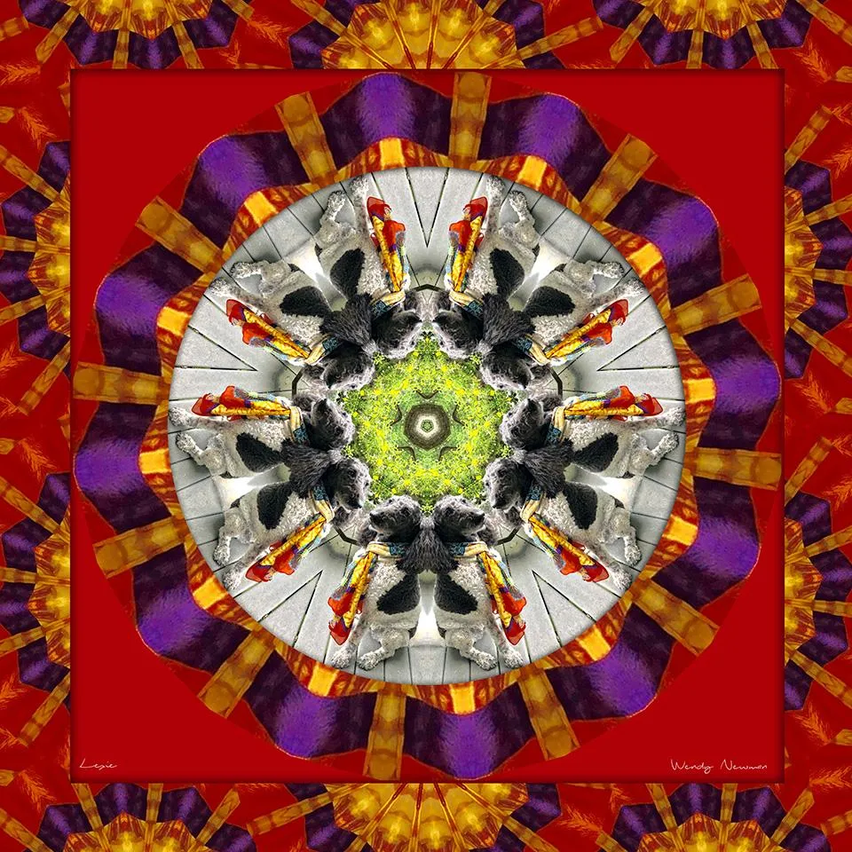 Custom Scarf - Custom Designs