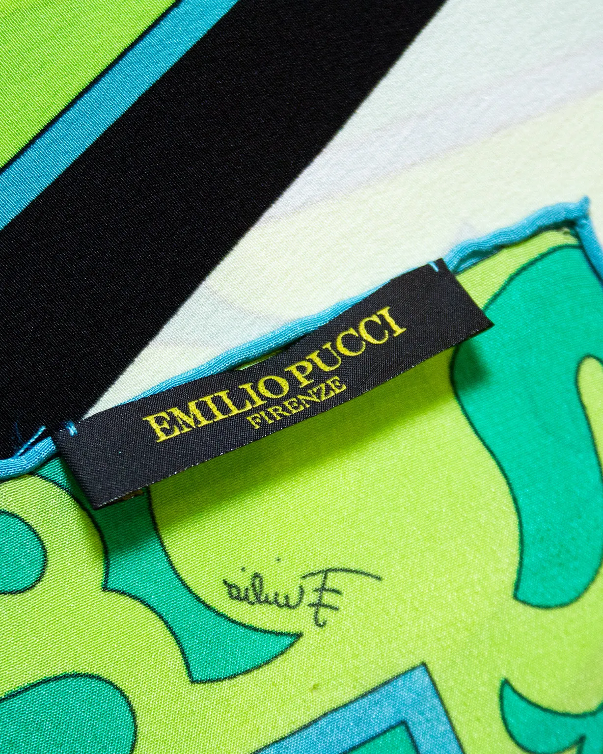 Green and Blue Printed Narrow Silk Scarf