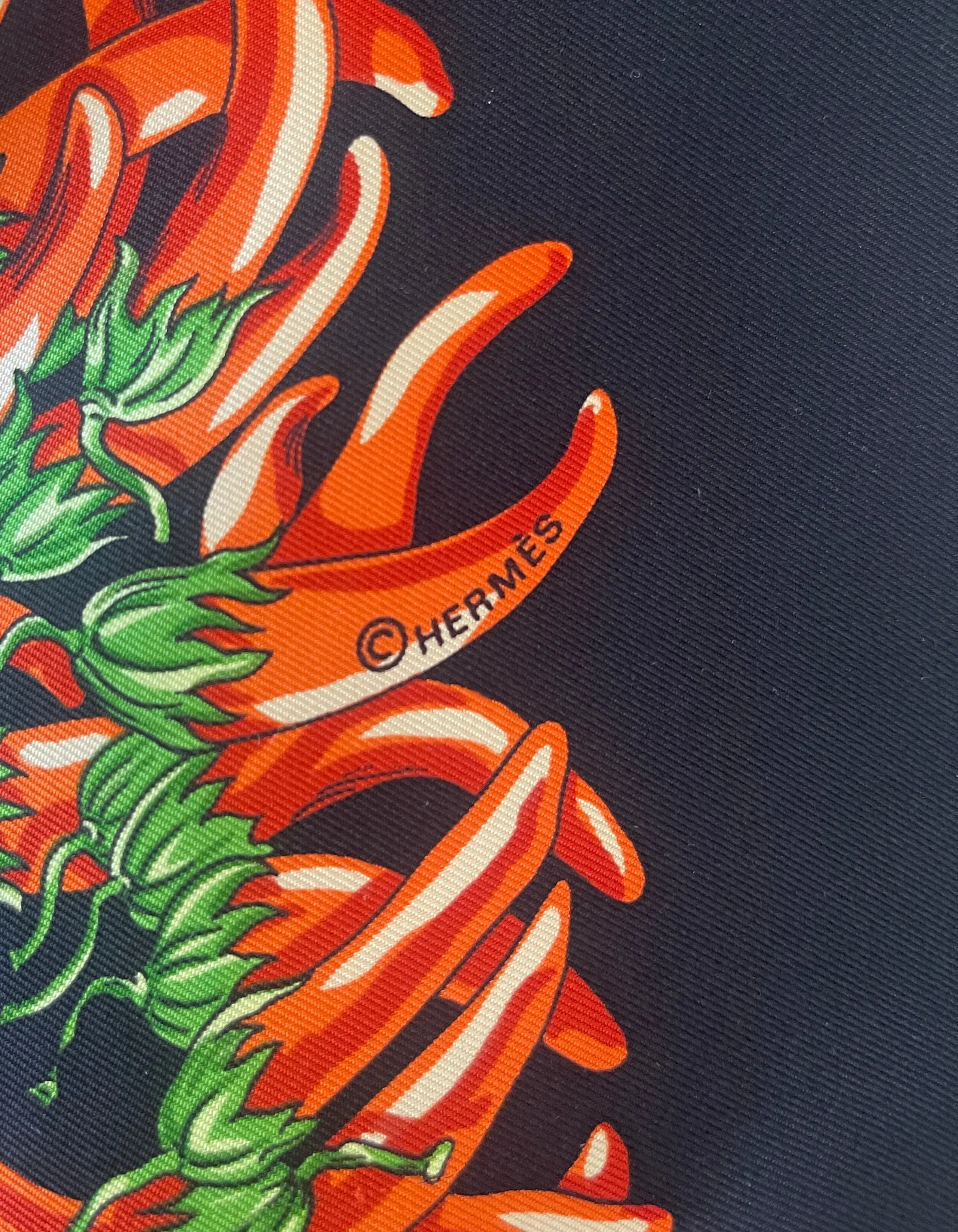 Hermes Black Aux Pays des Epices 90cm Silk Scarf
