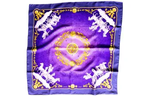 Hermes Cosmos Scarf