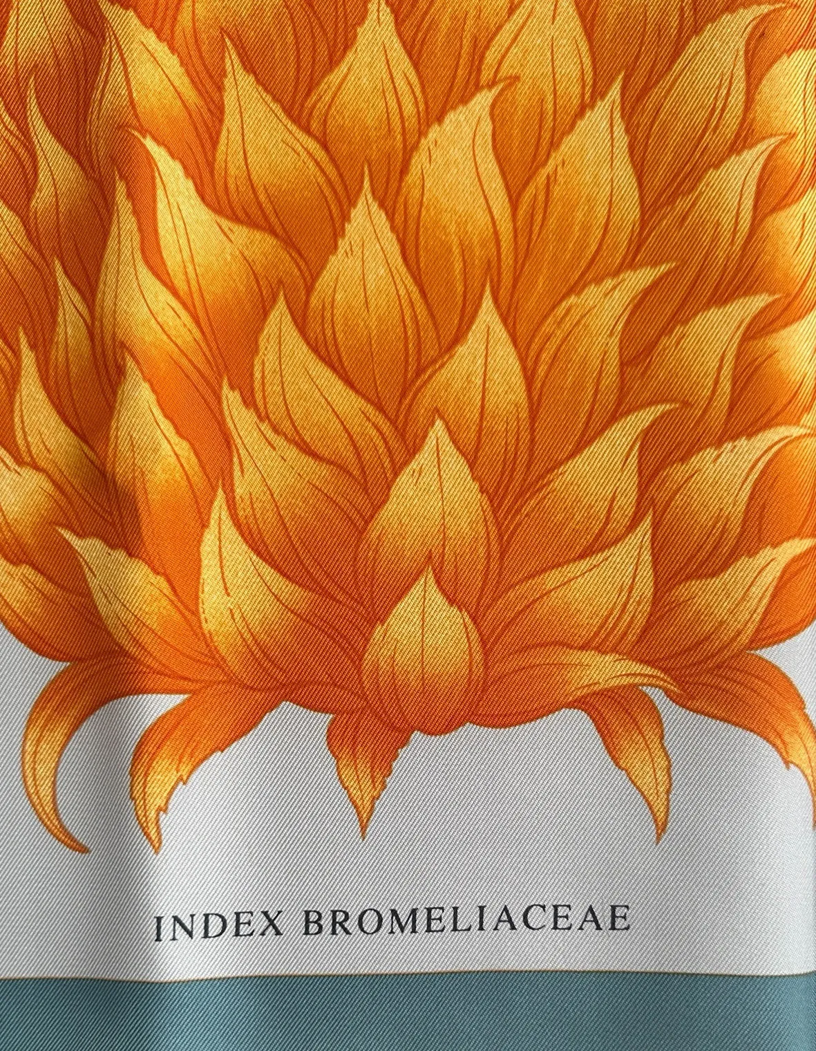 Hermes NEW Index Bromeliaceae 90cm Silk Scarf
