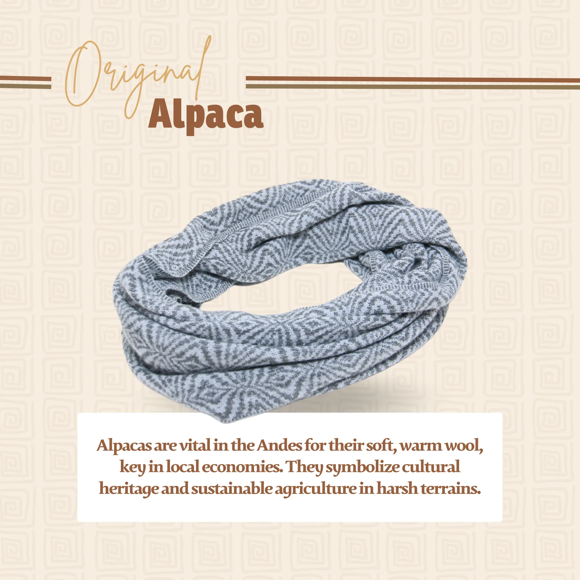 Light Gray Blue Alpaca Infinity Scarf