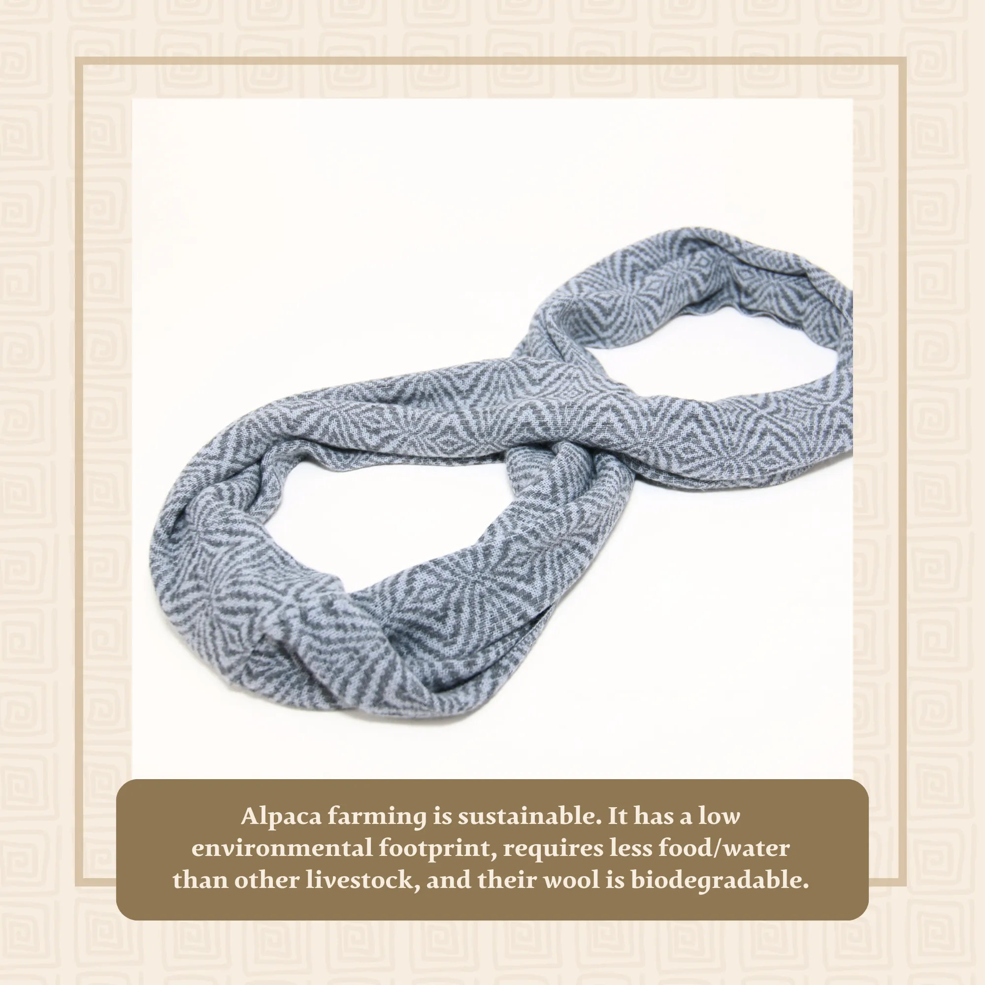 Light Gray Blue Alpaca Infinity Scarf