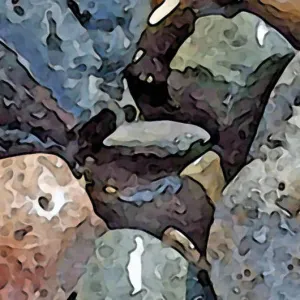 Merino/Silk Scarf -  Rocks