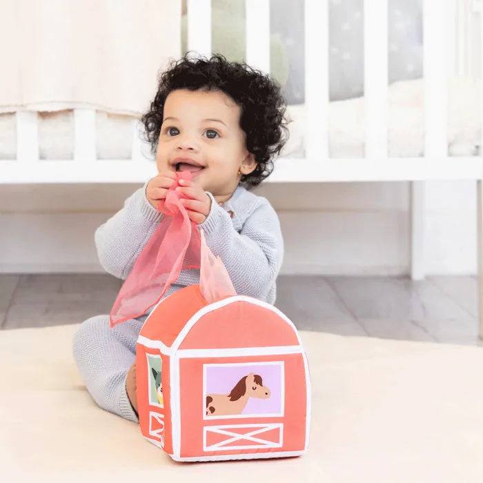 Pearhead Developmental Toys Learning Set - 6-12 Months