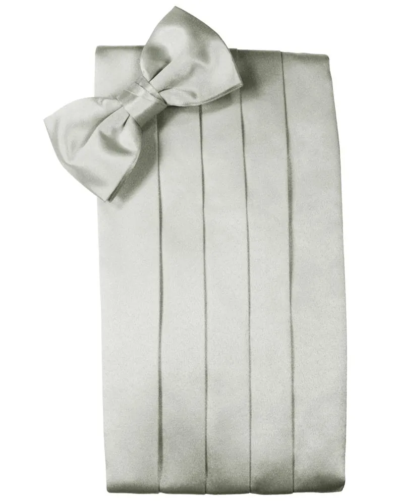 Platinum Noble Silk Cummerbund & Bow Tie Set