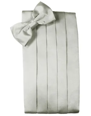 Platinum Noble Silk Cummerbund & Bow Tie Set