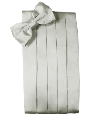 Platinum Noble Silk Cummerbund & Bow Tie Set