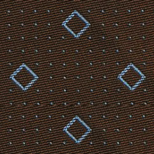 Powder Blue on Brown English Geometric Silk Tie EGT-20
