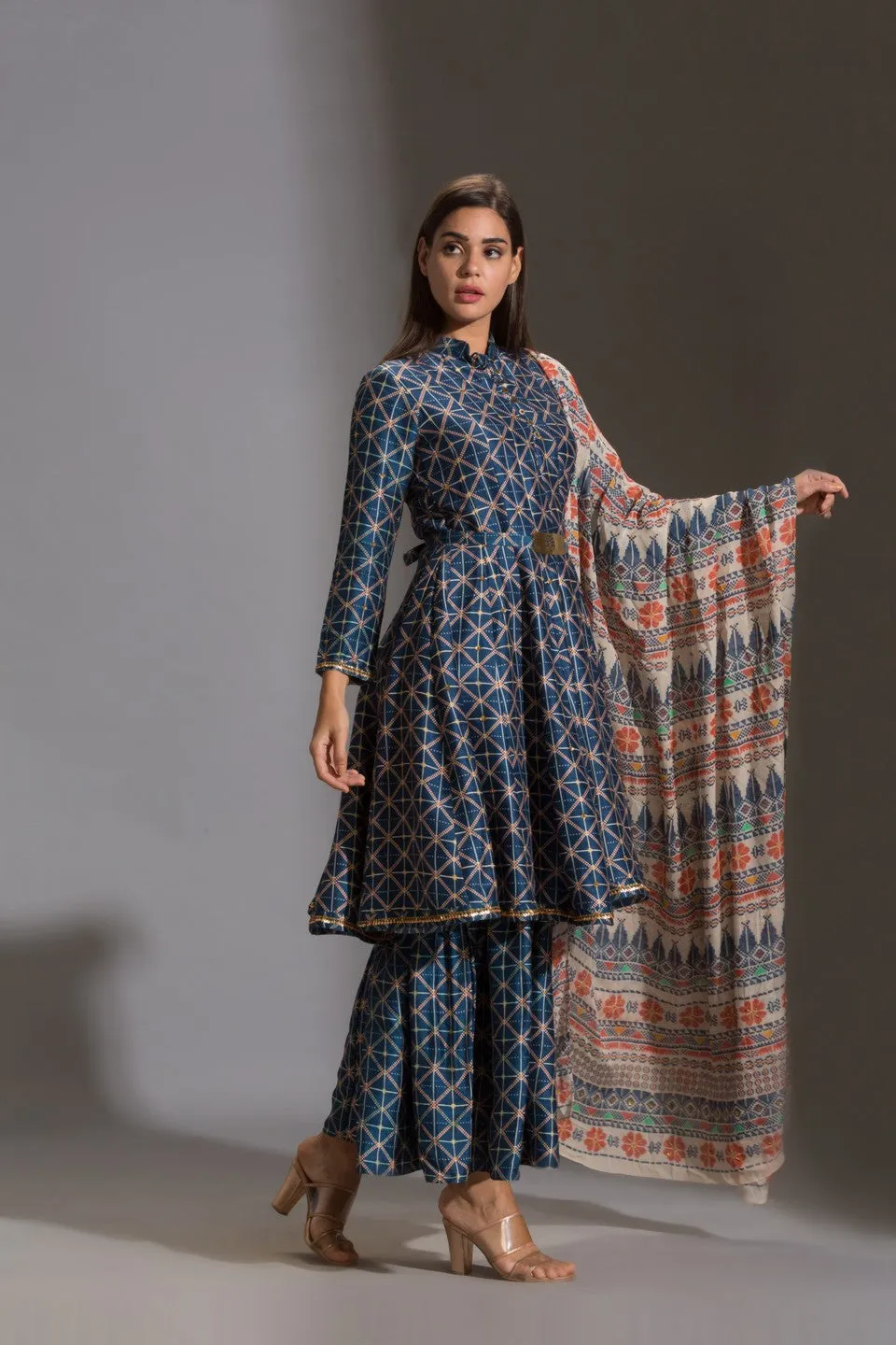 Printed panel anarkali with printed sharara