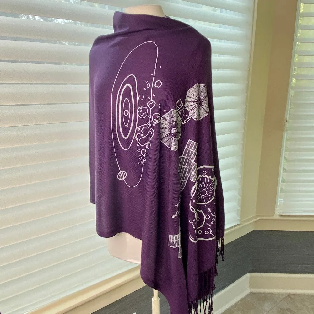 Psyche & Lucy Asteroid Missions Scarf