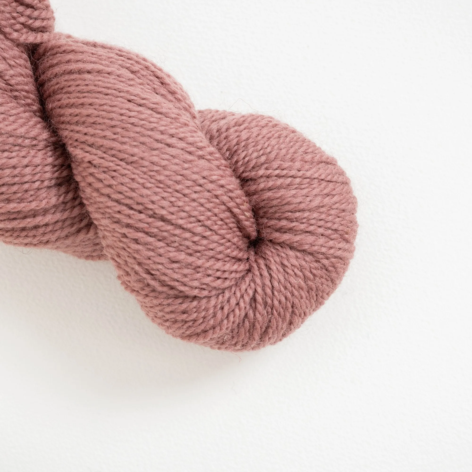 Romney Merino ***
