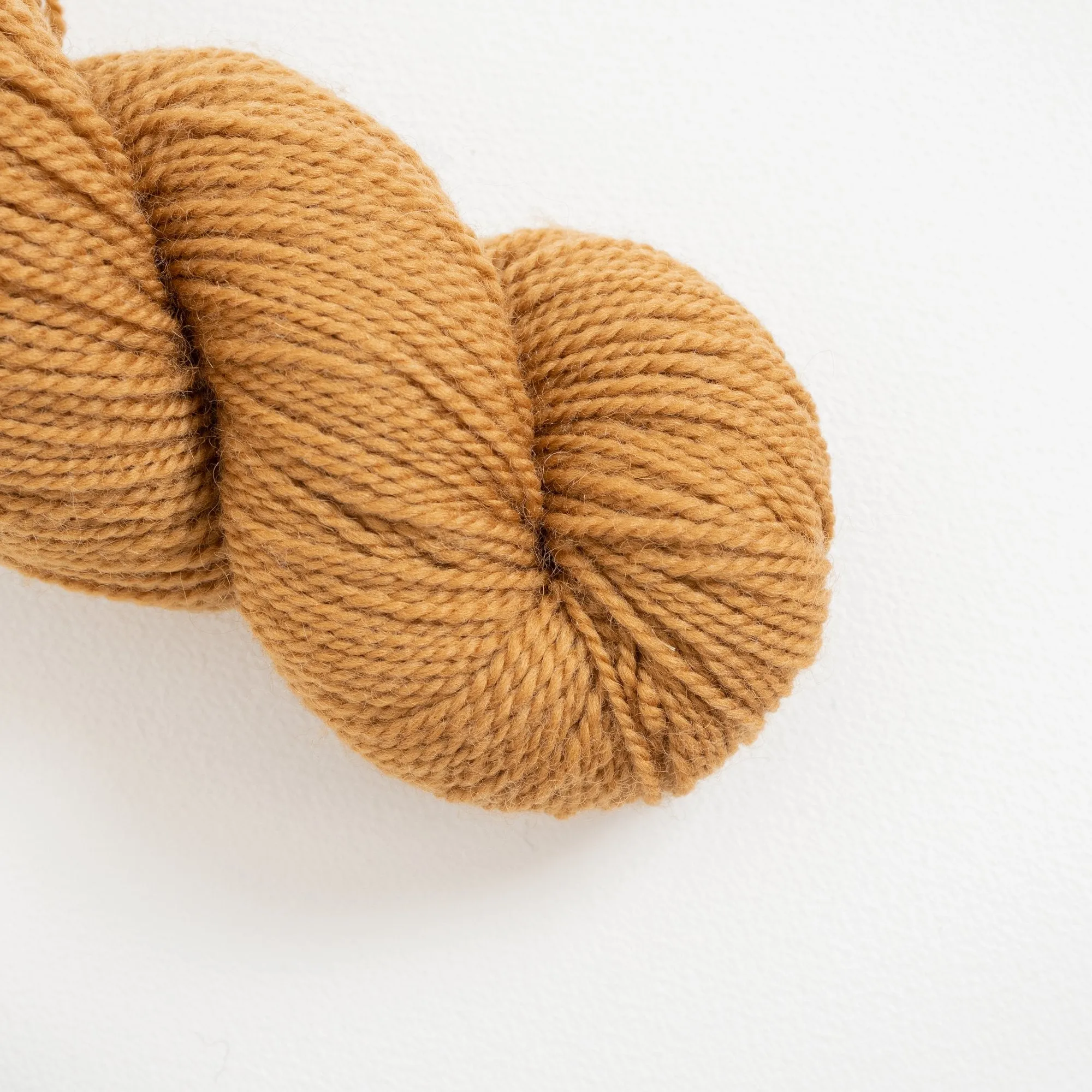 Romney Merino ***