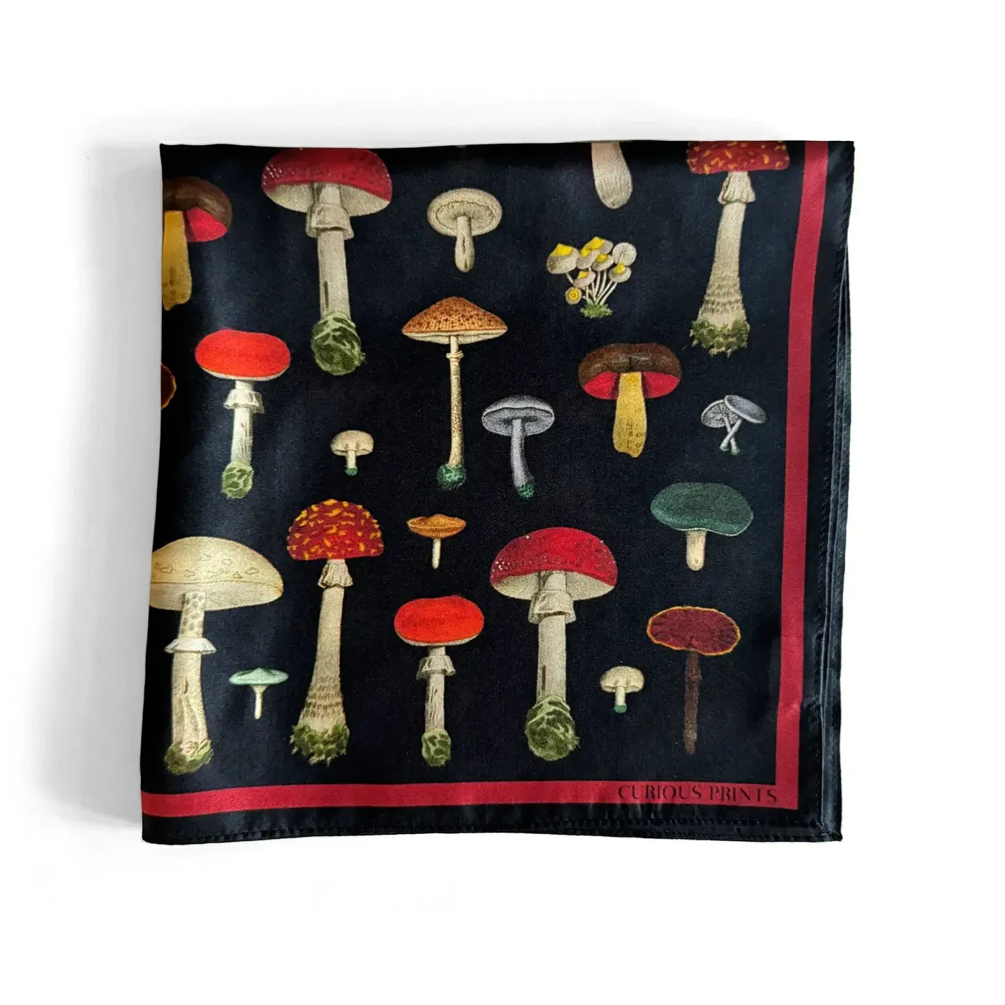 Silk Scarf