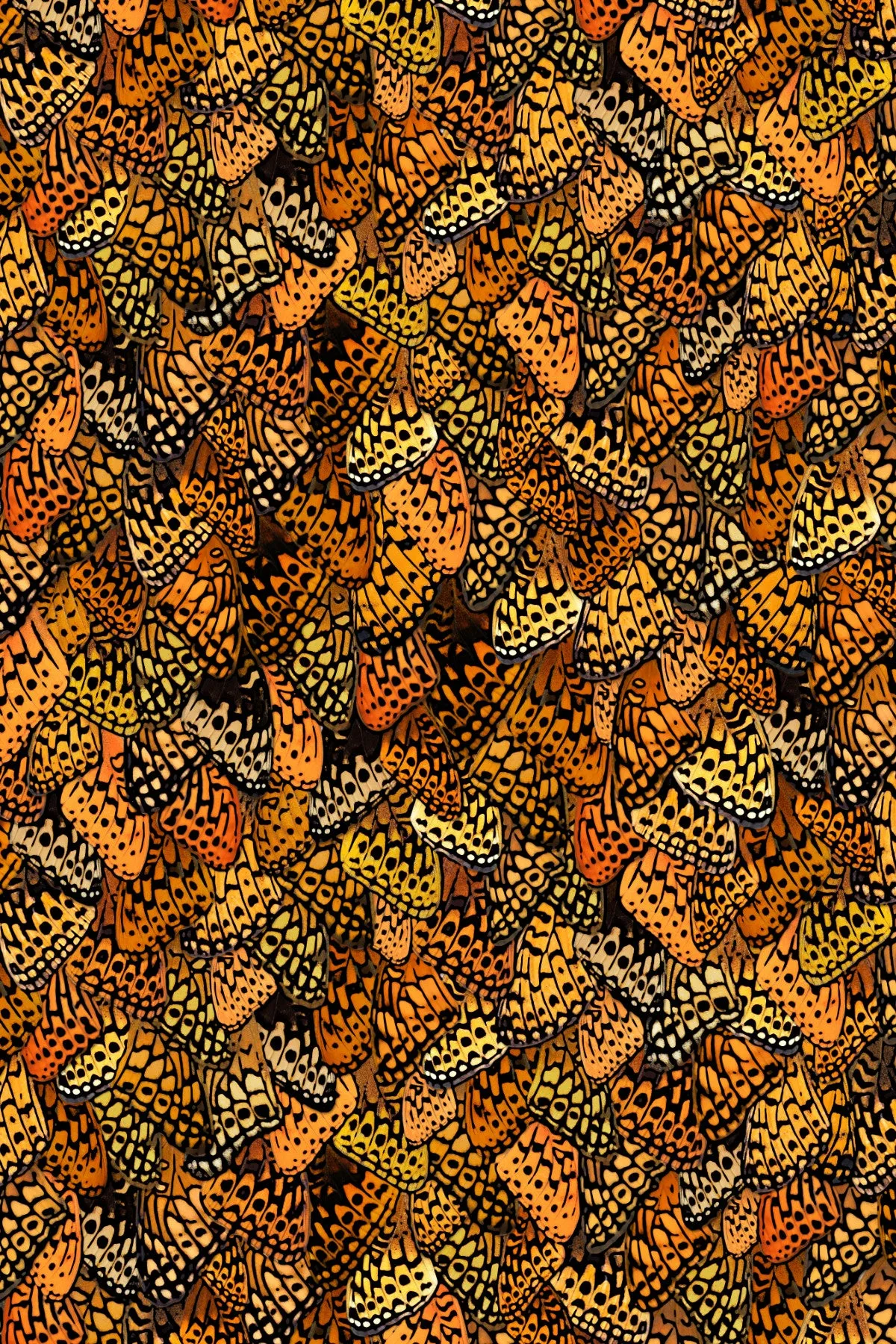 Spangled Fritillary Square Scarf
