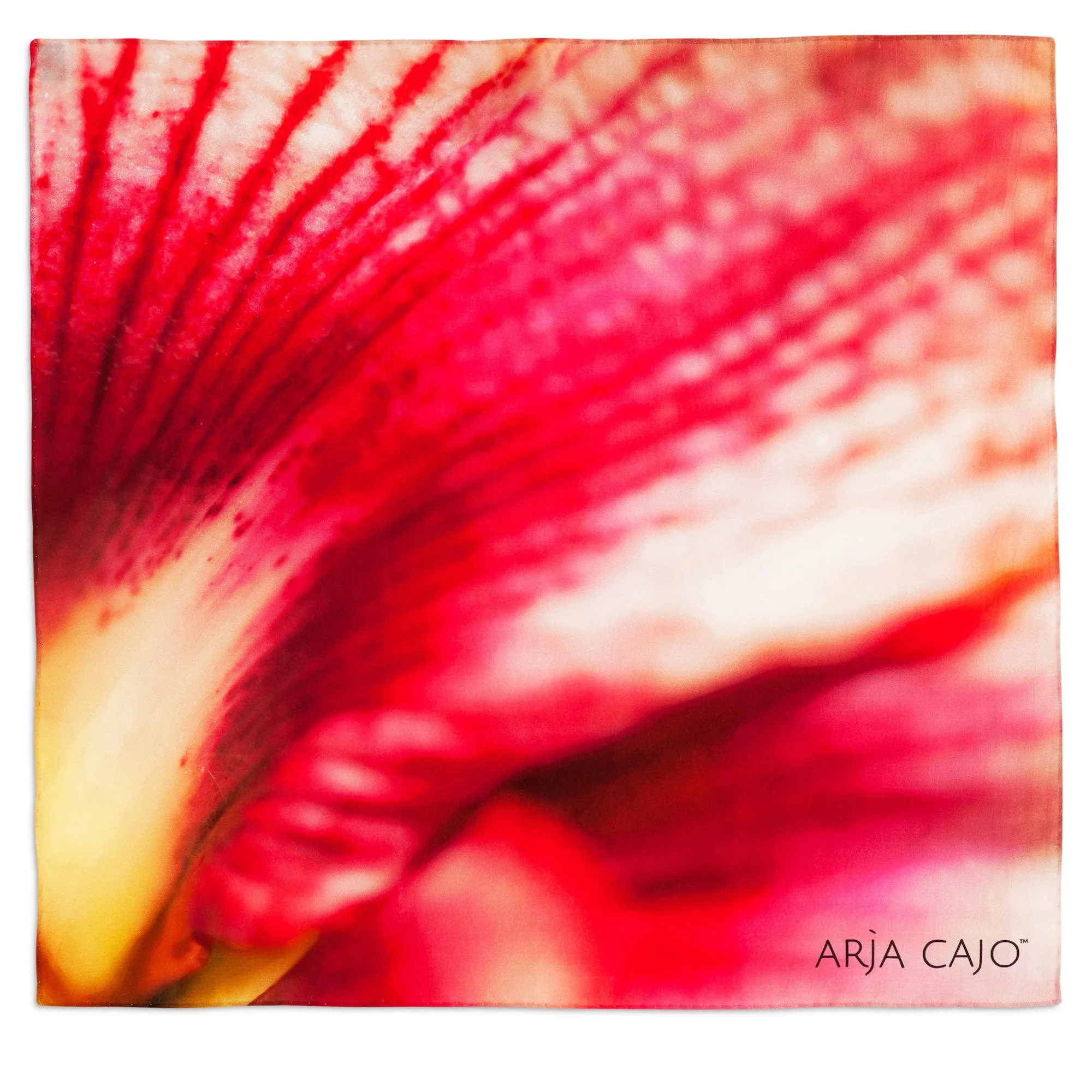 Special Edition Amaryllis Rays Silk Stole Scarf