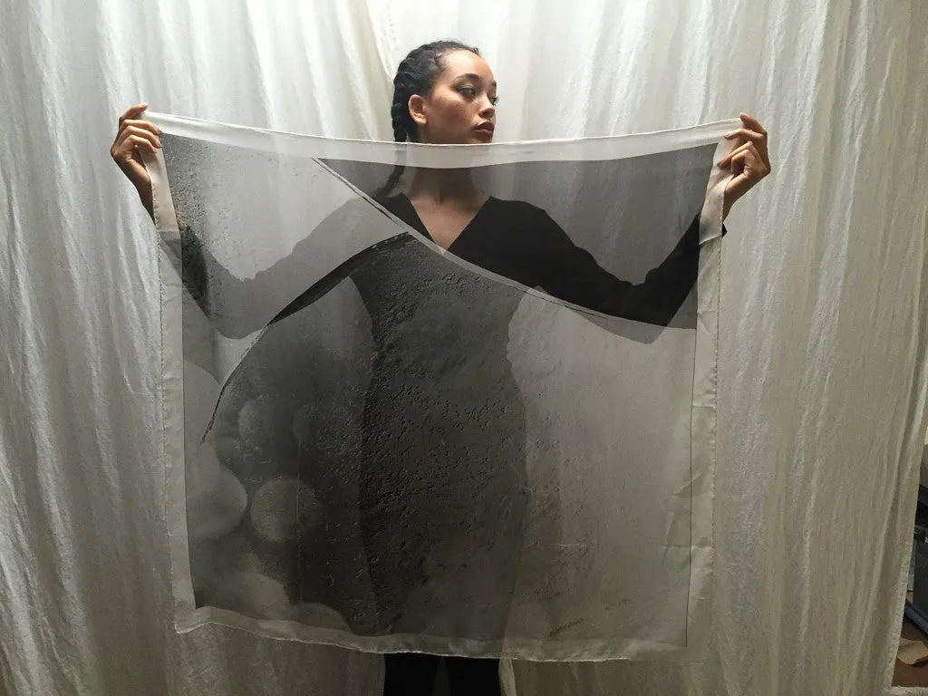 Spica Fine Arts Photographic Print Silk Scarf