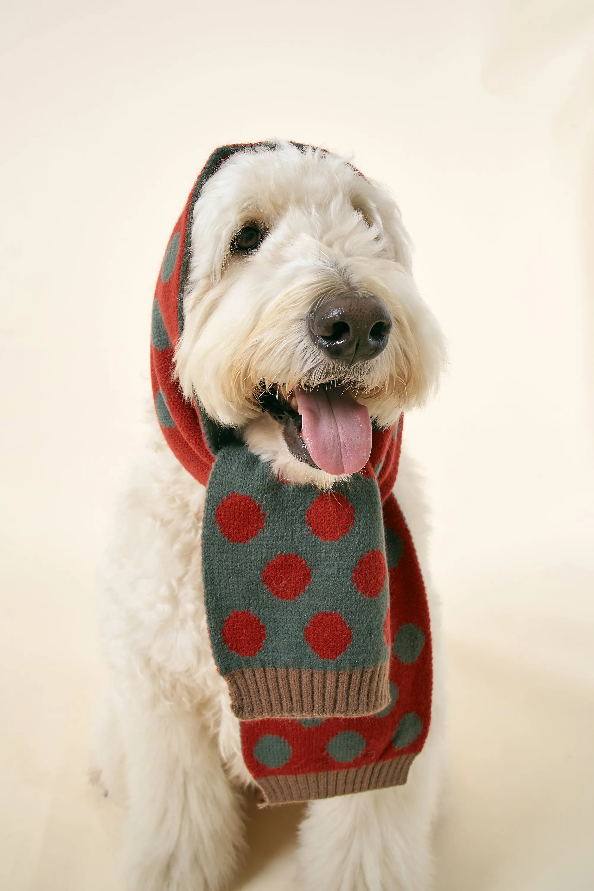 [STORETS X COSONNE] Knitted Neck Scarf