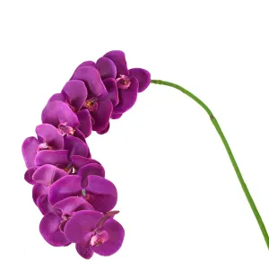 Tall Artificial Manhattan Orchid Stem, 42-Inch