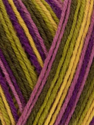 West Yorkshire Spinners Signature 4ply