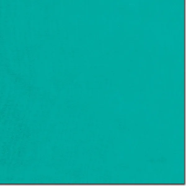 Wild Rags Solid Emerald