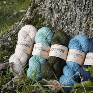 Woodnote wool DK from Baa Ram Ewe 100g hank