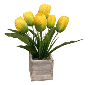Yellow Tulips in Natural Wooden Box
